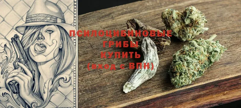 Галлюциногенные грибы Cubensis  купить   Бахчисарай 